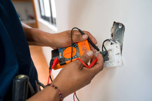 Best 24-Hour Electrician  in Trenton, MI