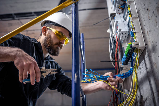 Best Electrical Rewiring Services  in Trenton, MI