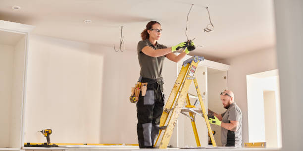 Best Electrical Wiring Services  in Trenton, MI