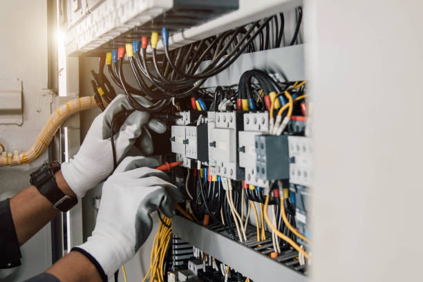 Best Electric Panel Repair  in Trenton, MI